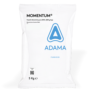 MOMENTUM DA KG 5