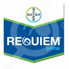 REQUIEM PRIME DA LT 10