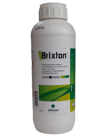 BRIXTON DA LT 1