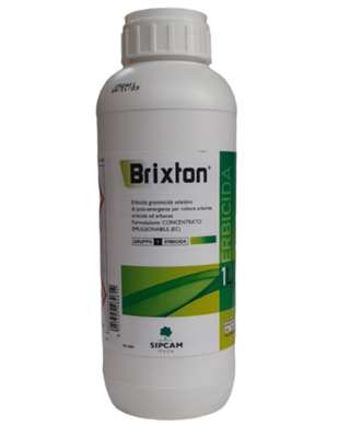 BRIXTON DA LT 1