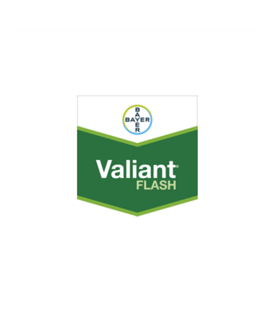 VALIANT FLASH WG79 DA KG 6
