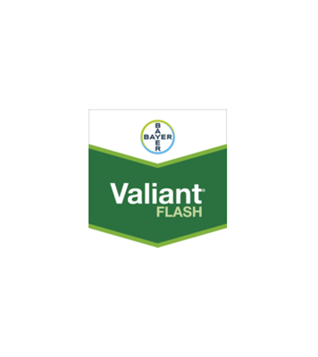 VALIANT FLASH WG79 DA KG 6