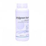 PHYLGREEN KUMA DA LT 1