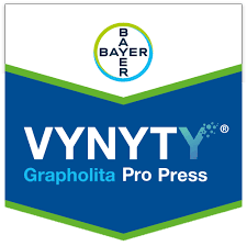 VYNYTY GRAPHOLITA PRO PRESS DA LT 0,250