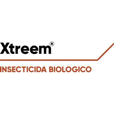 XTREEM PRIME DA KG 1