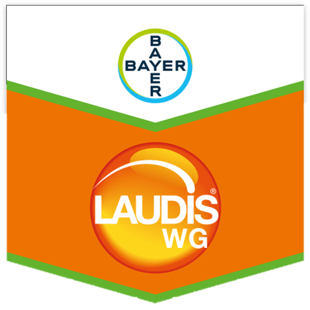 LAUDIS WG DA KG 1
