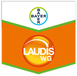 LAUDIS WG DA KG 1