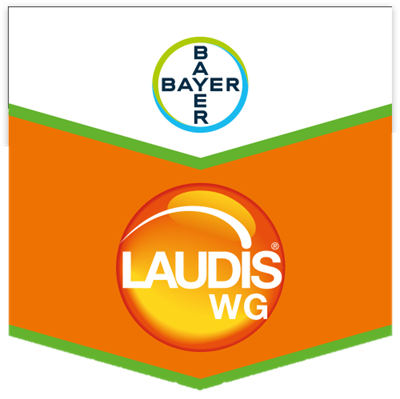 LAUDIS WG DA KG 1