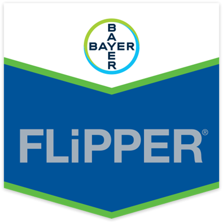 FLIPPER DA LT 5