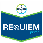 REQUIEM PRIME DA LT 5