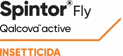 SPINTOR FLY DA LT 0,500