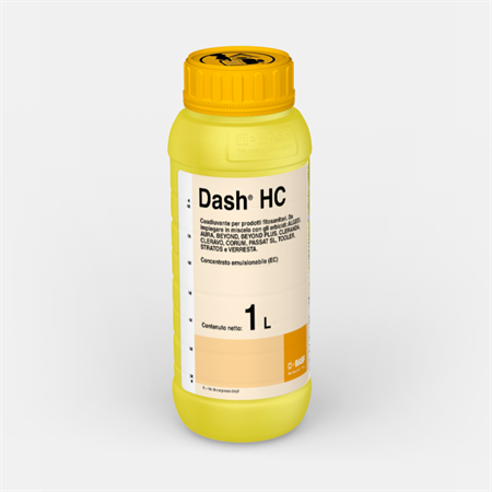 DASH HC DA LT 1