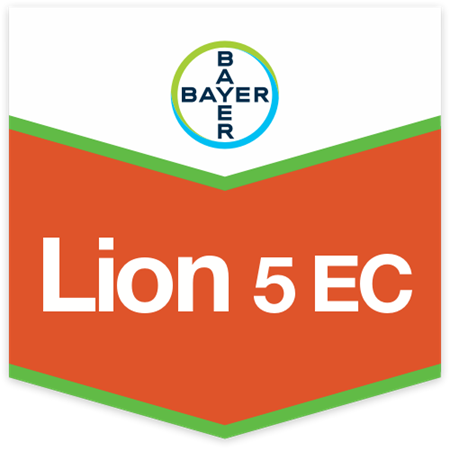LION 5 EC DA LT 5