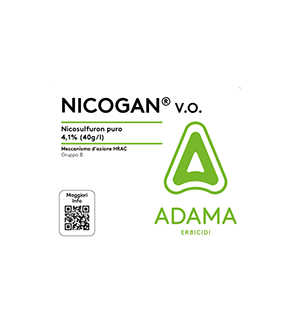 NICOGAN V.O. DA LT 1