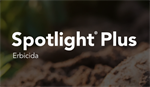 SPOTLIGHT PLUS DA LT 5