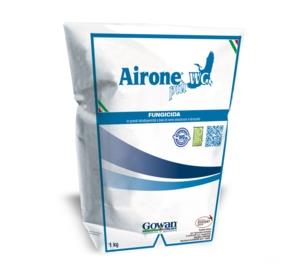 AIRONE PIU' DA KG 10