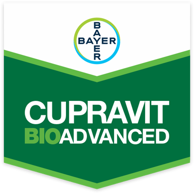 CUPRAVIT BIOADVANCED WG 30 DA KG 10