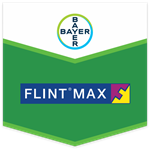 FLINT MAX DA KG 0,500