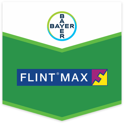 FLINT MAX DA KG 0,500