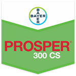 PROSPER 300 CS DA LT 1