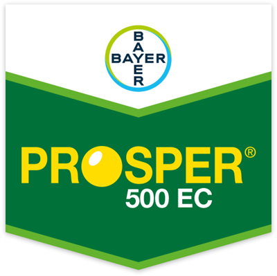 PROSPER 500 EC DA LT 1