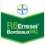 R6 ERRESEI BORDEAUX WG DA KG 1