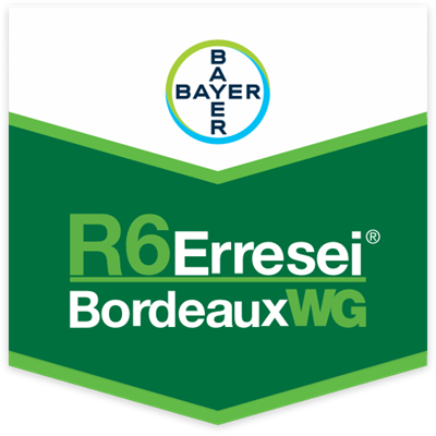 R6 ERRESEI BORDEAUX WG DA KG 10