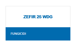 ZEFIR 25 WDG DA KG 0,500