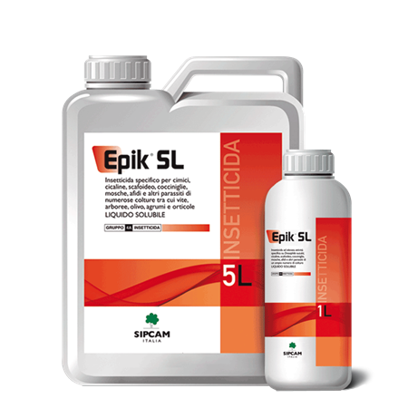 EPIK SL DA LT 5