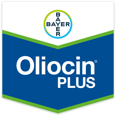 OLIOCIN PLUS DA LT 25