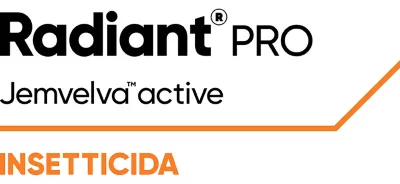 RADIANT PRO DA LT 1