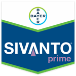 SIVANTO PRIME DA LT 1