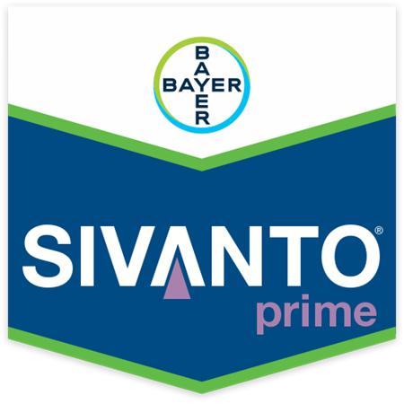 SIVANTO PRIME DA LT 0,250