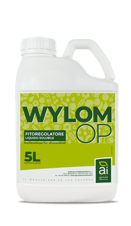 WYLOM OP DA LT 5