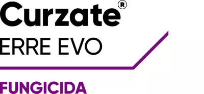 CURZATE ERRE EVO DA KG 1