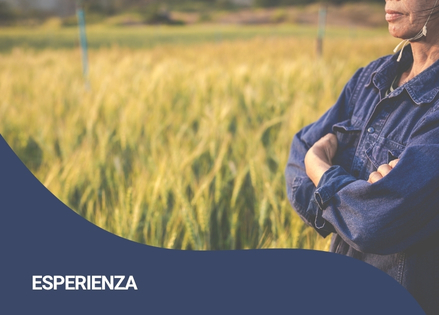 Esperienza