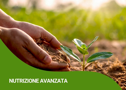fertilizzanti-speciali-ricci-agricoltura-vendita-agrofarmacijpg