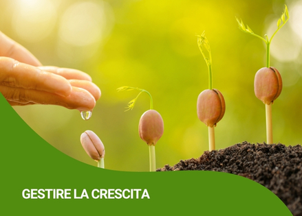 fitoregolatori-ricci-agricoltura-vendita-agrofarmacijpg