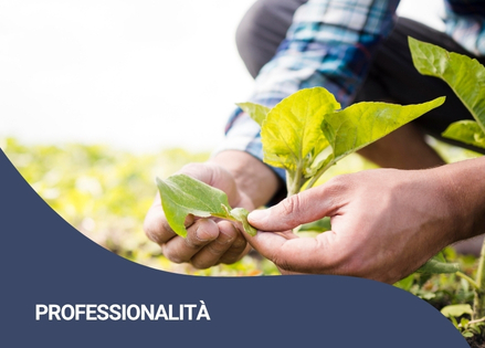 Professionalità