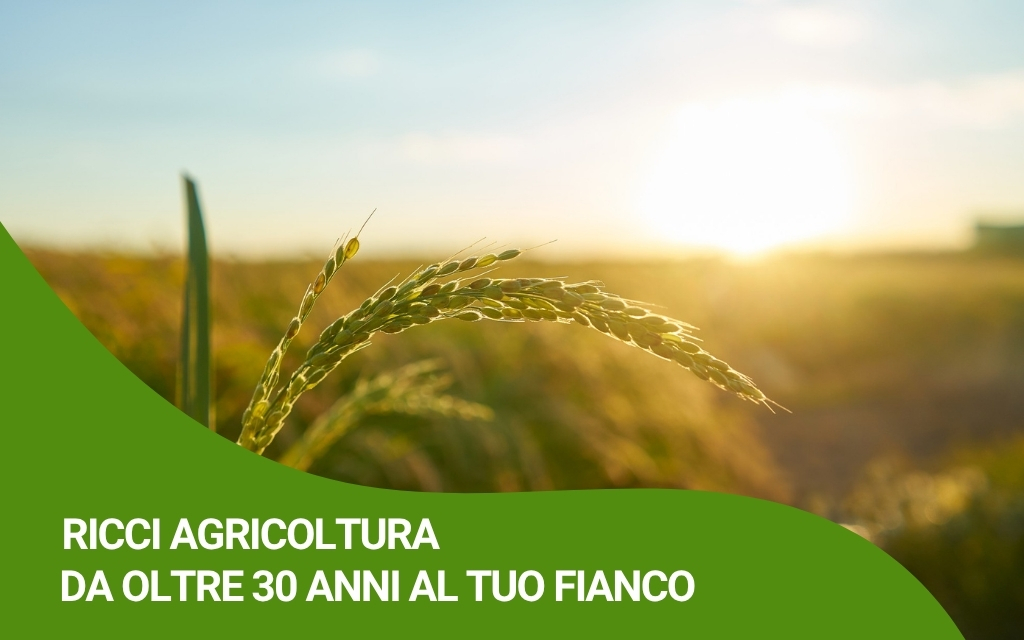 ricci-agricoltura-agrofarmaci-30-anni